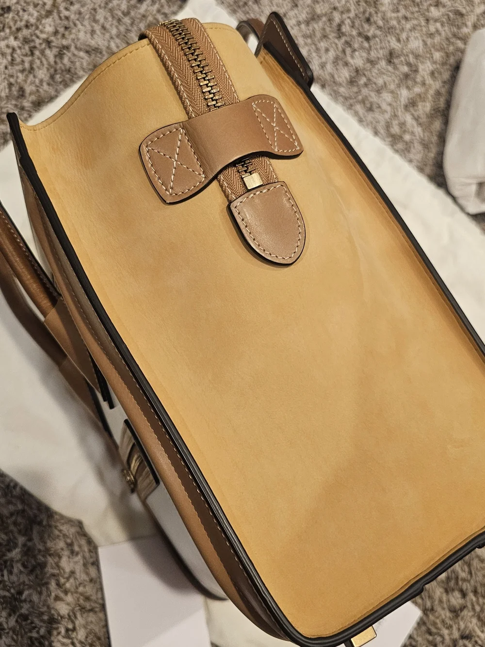 Celine Micro Luggage Tote Tricolor